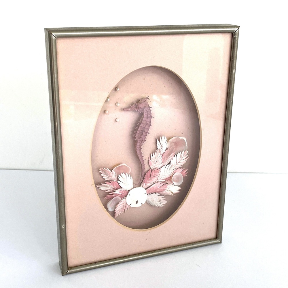Vintage 80s Real Seahorse Sand Dollar Sea Shell Art Pink Silver Frame 6x8